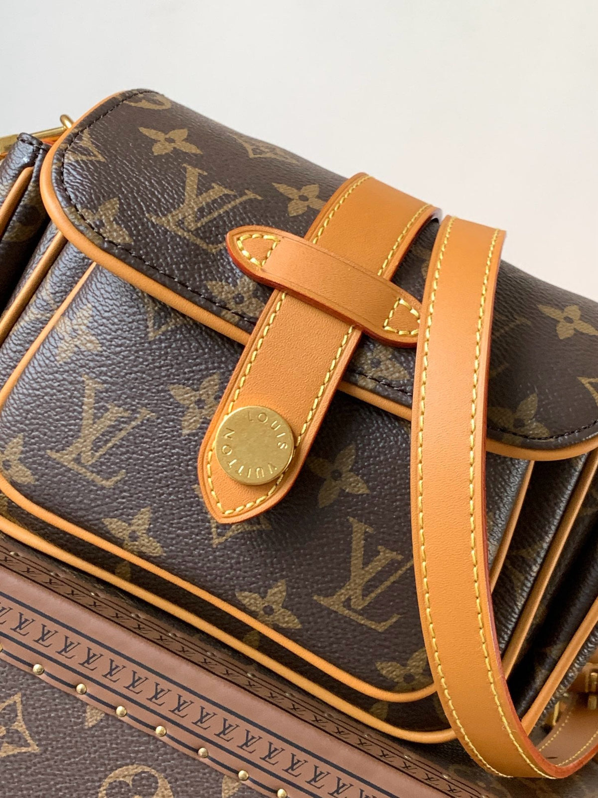 Cargo Wearable Wallet In Monogram Archive Canvas
