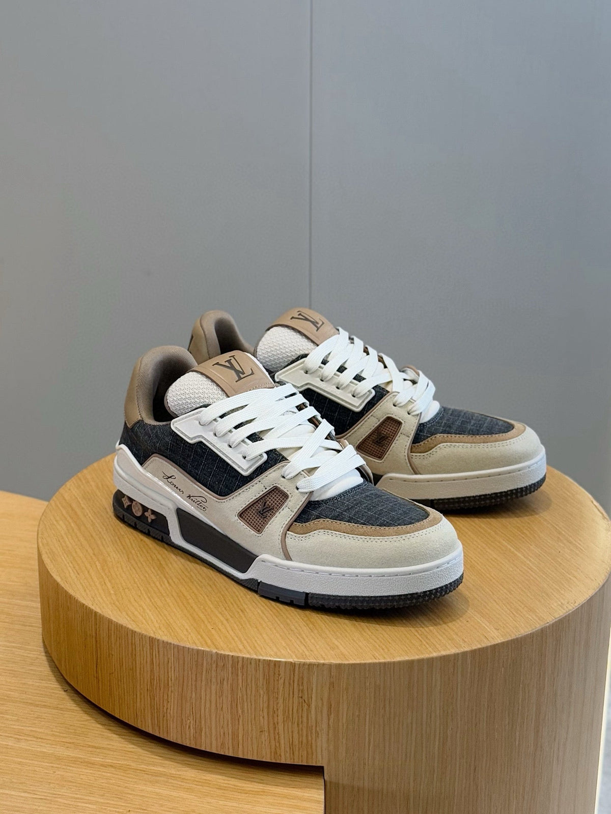 LV Trainer Outdoor Sneaker In Brown Tones
