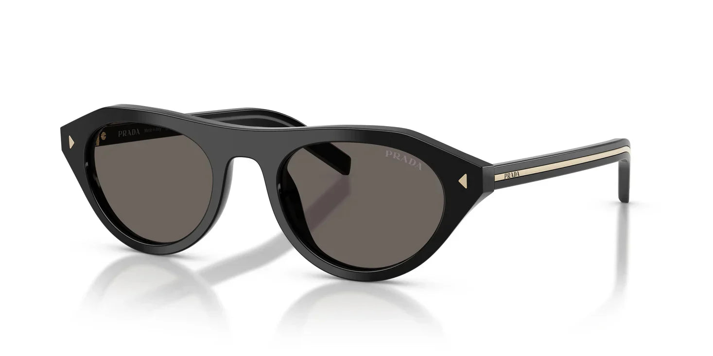PR B15S Sunglasses