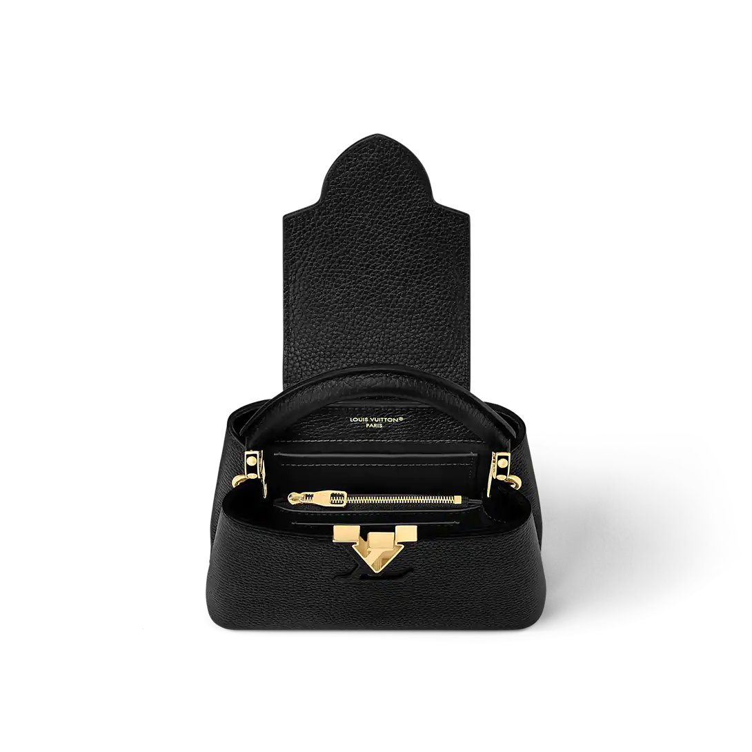 LV Capucines Mini With Box