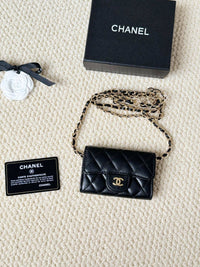 Black & Gold