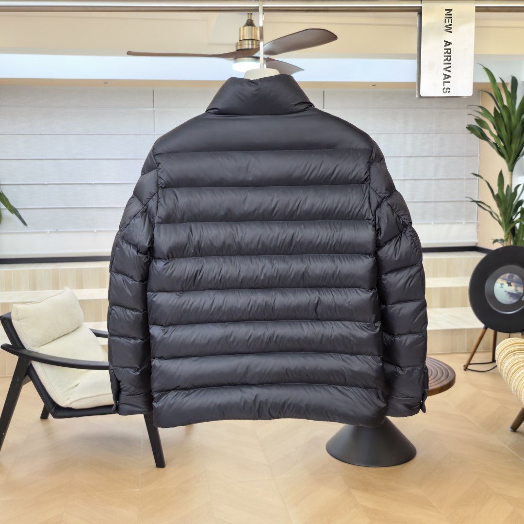 Sleeves Short Down Jacket In Black