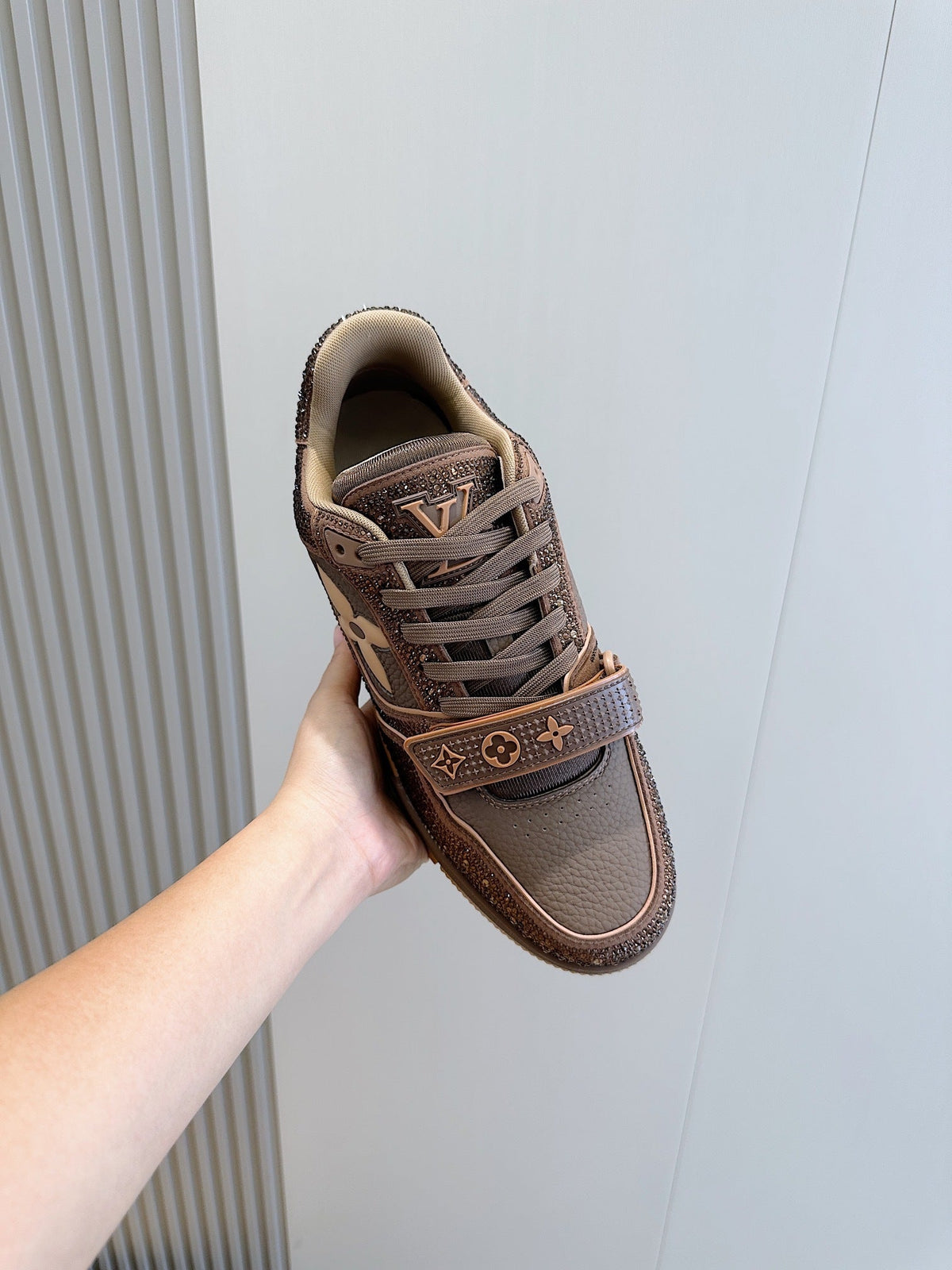 LV Trainer In Brown Colorway