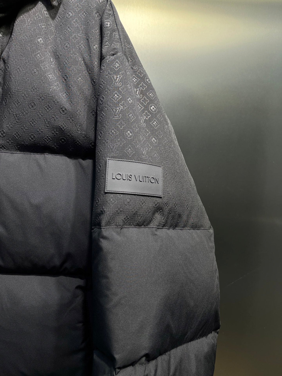 LV Placed Monogram Ecodown Blouson With Mini Monogram Canvas