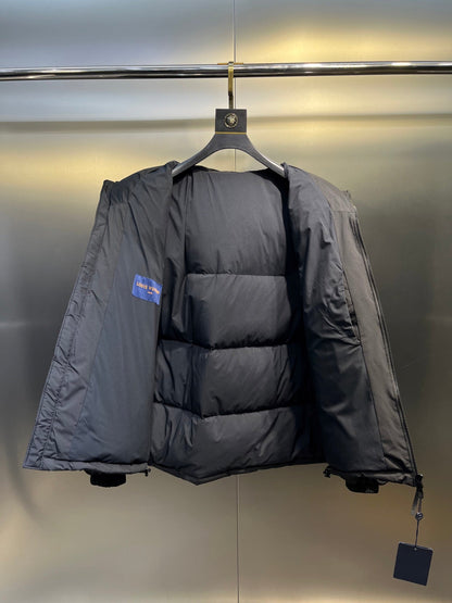 LV Placed Monogram Ecodown Blouson With Mini Monogram Canvas